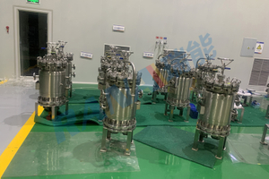 ECTFE Lined Filter Housing