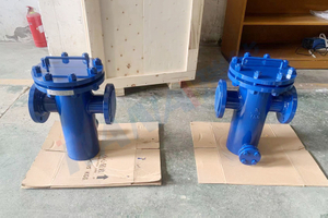 PFA Lined Basket Strainer